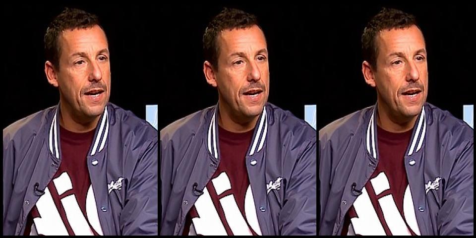 Famous People with surname Sandler