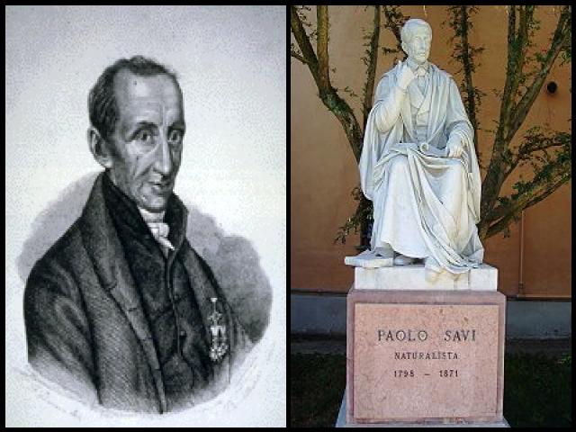 Famous People with surname Savi