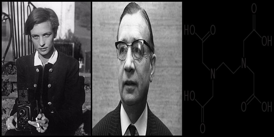 Famous People with surname Schwarzenbach