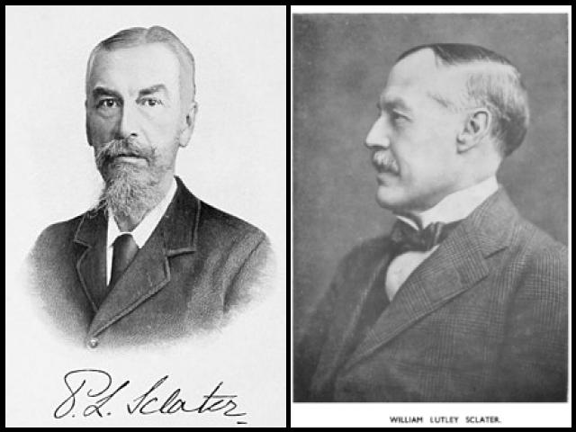 Famous People with surname Sclater