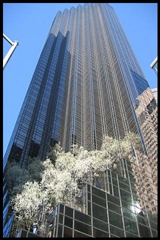 Famous People with surname Scutt