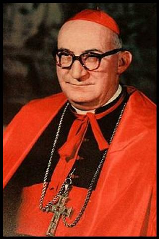 Famous People with surname Seper