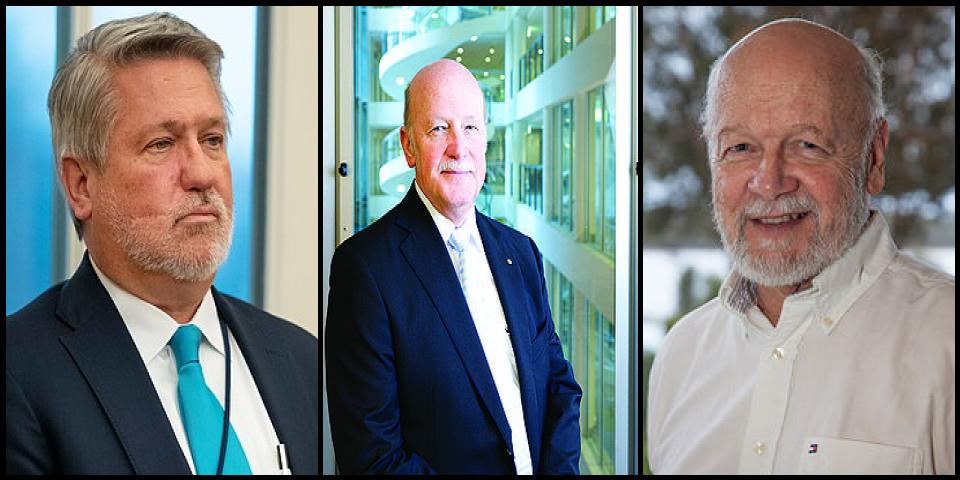 Famous People with surname Shine