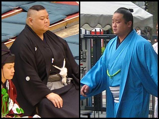 Famous People with surname Shinichi