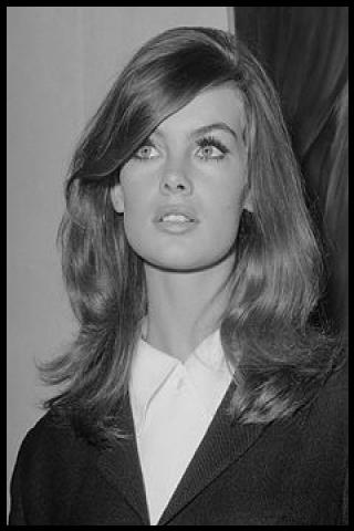 Famous People with surname Shrimpton