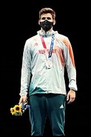 Famous People with surname Sikl&oacute;si