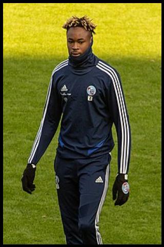 Famous People with surname Simakan