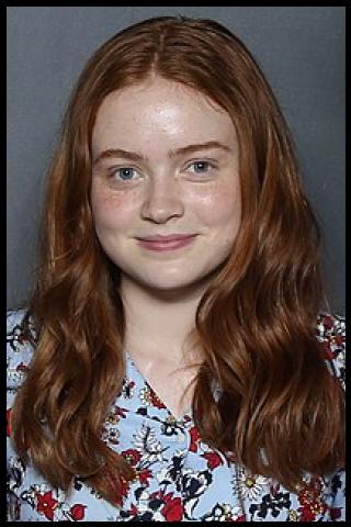 Famous People with surname Sink