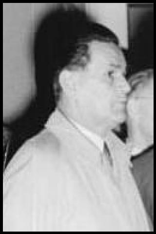 Famous People with surname &Scaron;irok&yacute;