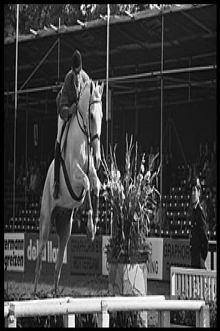 Famous People with surname Snoek