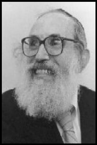 Famous People with surname Soloveichik