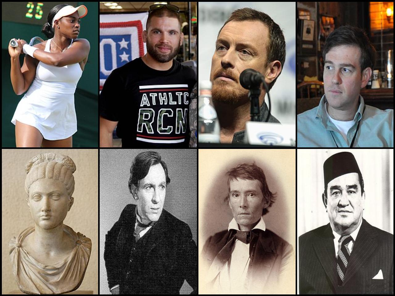 Famous People with surname Stephens