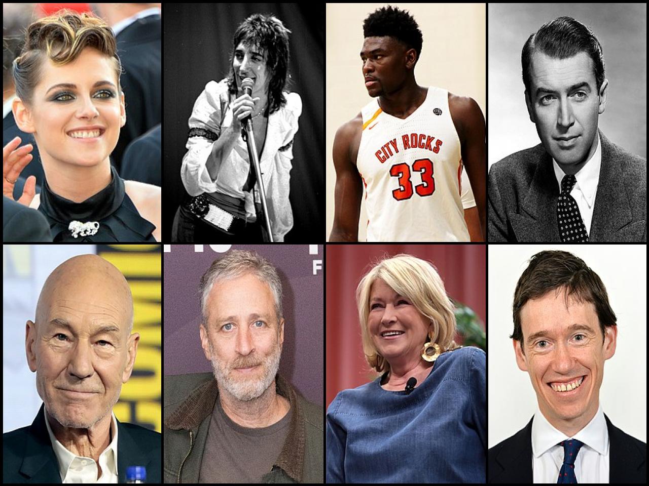 Famous People with surname Stewart