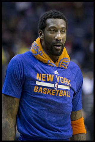 Famous People with surname Stoudemire
