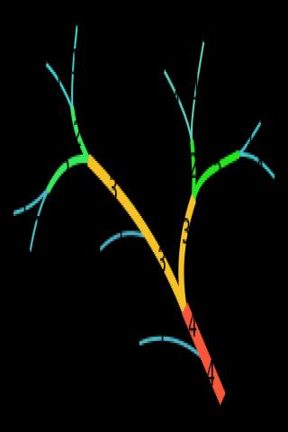 Famous People with surname Str&auml;hler