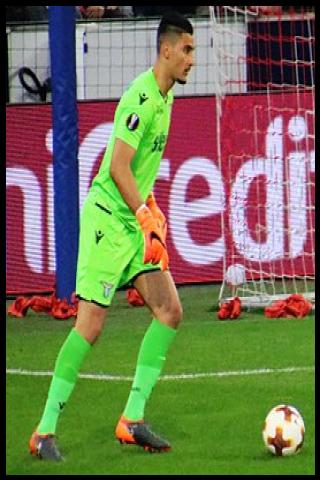 Famous People with surname Strakosha