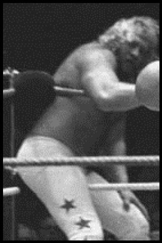 Famous People with surname Studd