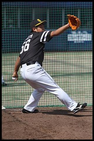 Famous People with surname Taura