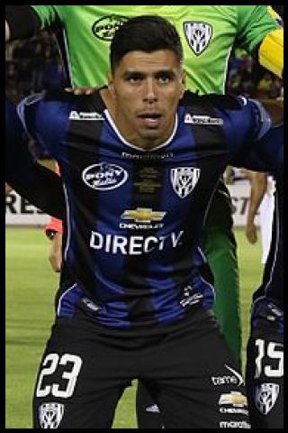 Famous People with surname Tellechea