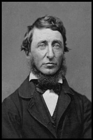 Famous People with surname Thoreau
