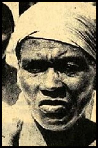 Famous People with surname Tingo