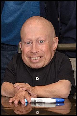 Famous People with surname Troyer