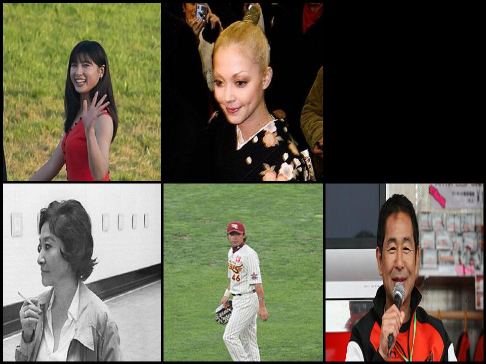 Famous People with surname Tsuchiya