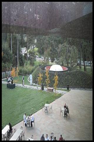 Famous People with surname Turrell