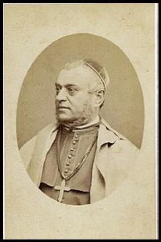 Famous People with surname Vancea