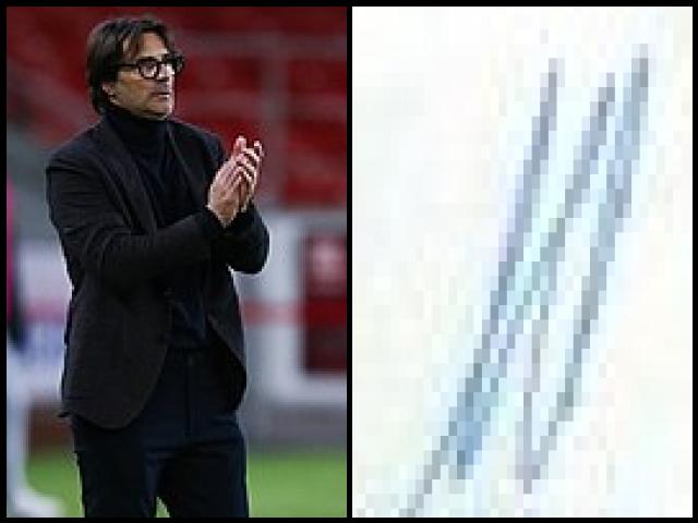 Famous People with surname Vanoli