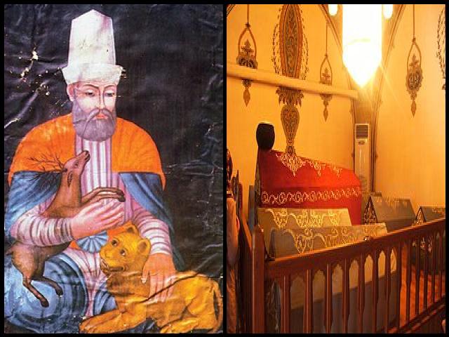 Famous People with surname Veli