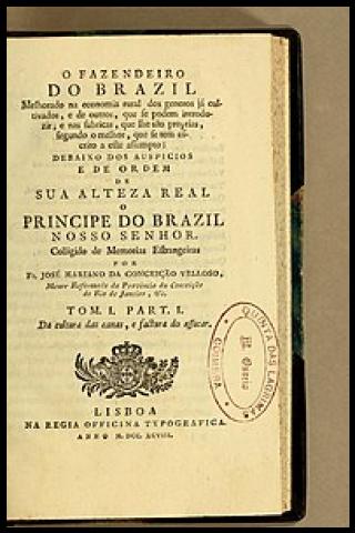 Famous People with surname Vellozo