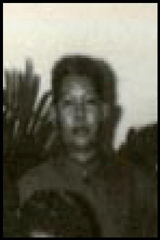 Famous People with surname Vet