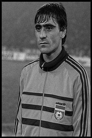 Famous People with surname Vokrri