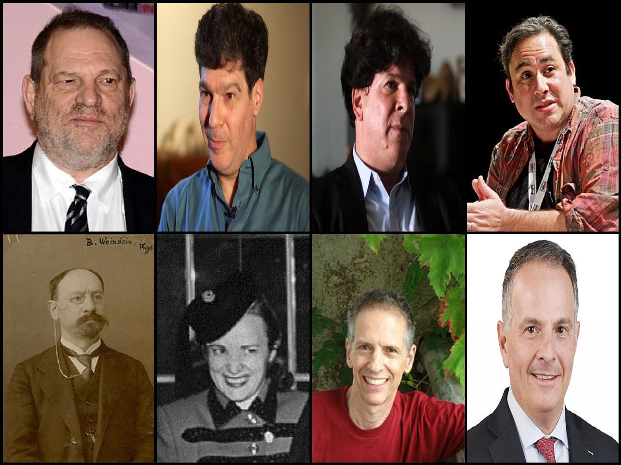 Famous People with surname Weinstein
