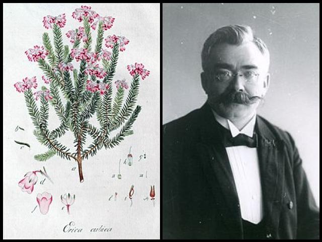 Famous People with surname Wendland