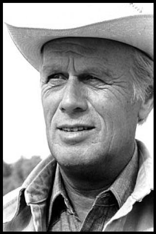 Famous People with surname Widmark