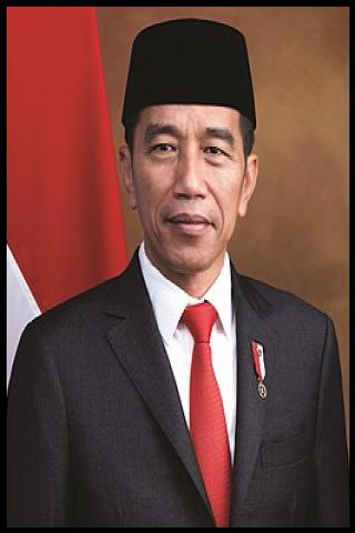 Famous People with surname Widodo