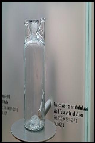 Famous People with surname Woulfe