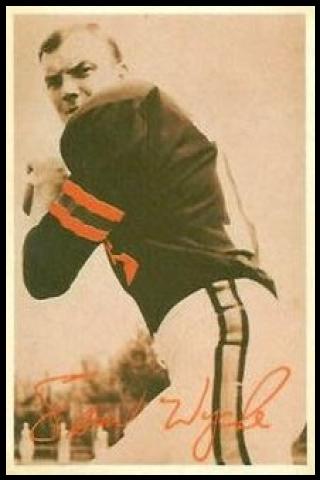 Famous People with surname Wyche