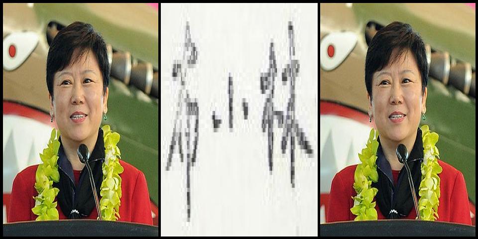 Famous People with surname Xiaolin