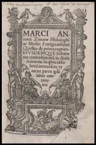 Famous People with surname Zimara