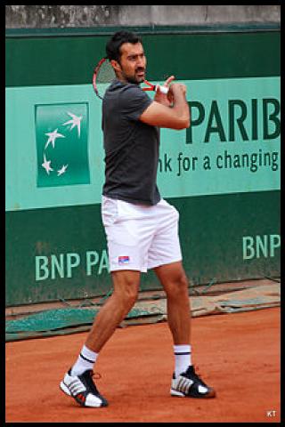 Famous People with surname Zimonjić