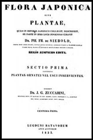 Famous People with surname Zuccarini