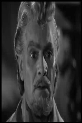 Famous People with name Afro