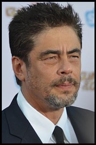 Famous People with name Benicio