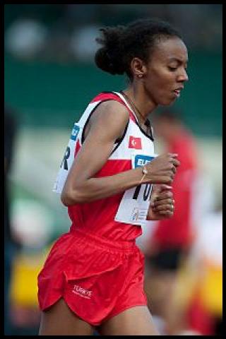 Famous People with name Elvan