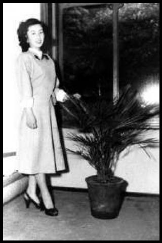 Famous People with name Fujiko