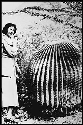 Famous People with name Helia