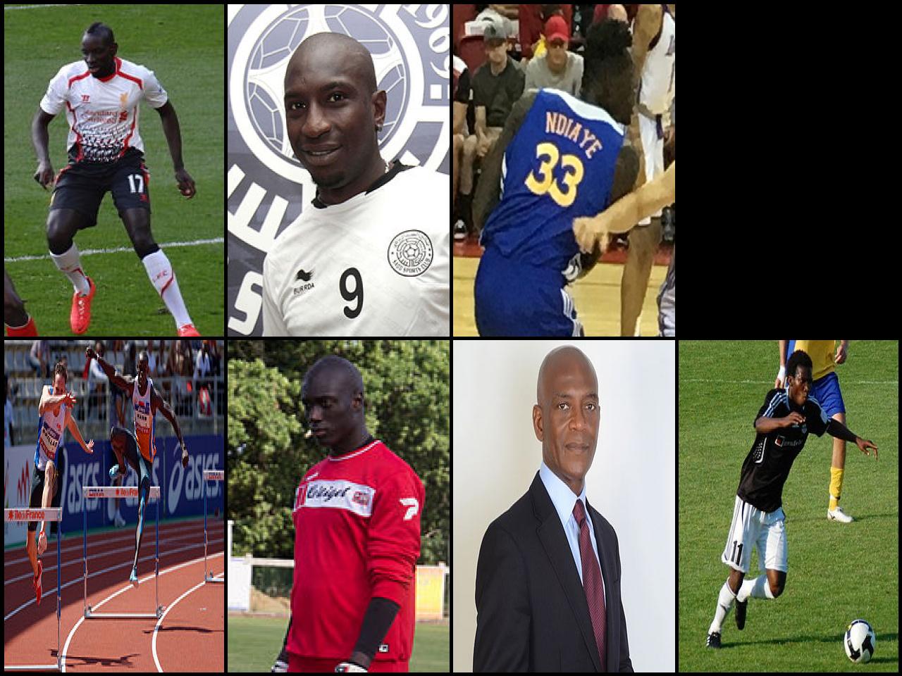 Famous People with name Mamadou